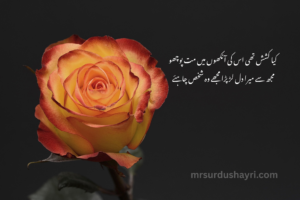 Urdu Shayari